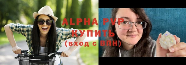 jwh Пересвет