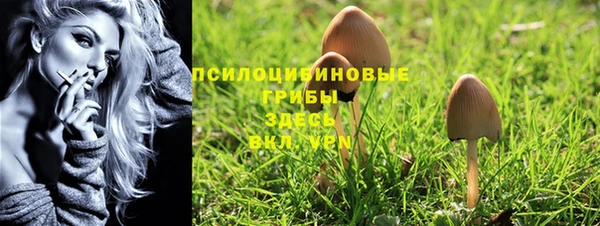 соль ск Абдулино