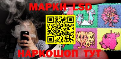 амф Кимры