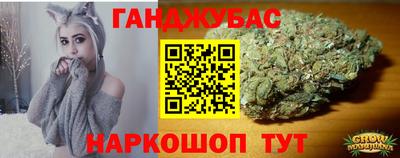 кокс Кингисепп