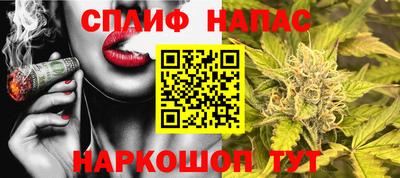 кокс Кингисепп
