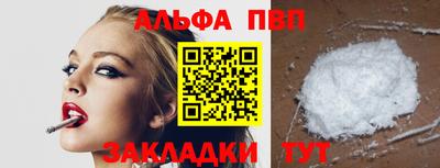 кокс Кингисепп
