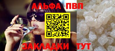 кокс Кингисепп