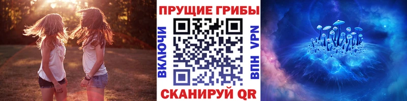 МЕГА ссылки  Красный Сулин  Галлюциногенные грибы GOLDEN TEACHER  наркошоп 