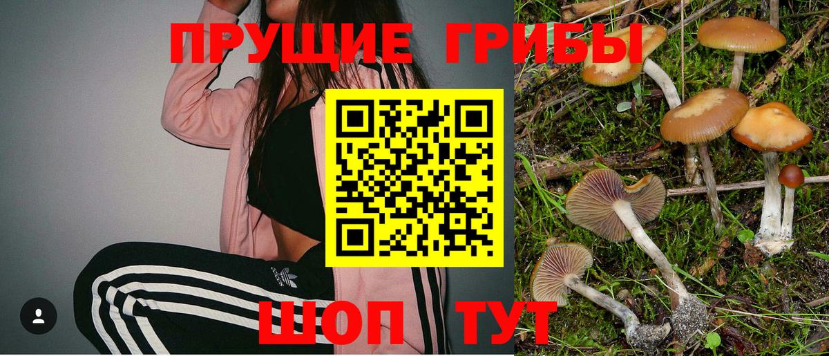 Псилоцибиновые грибы Cubensis  Псилоцибиновые грибы прущие грибы  магазин  наркотиков  Красный Сулин  Вход с VPN 
