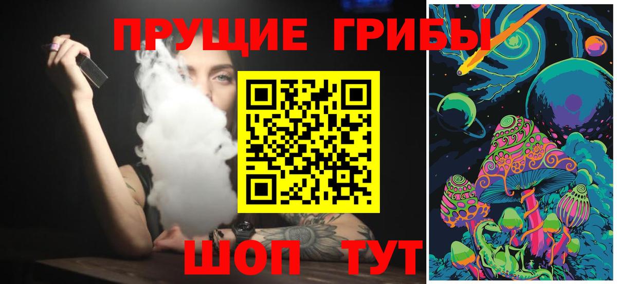 Галлюциногенные грибы Psilocybine cubensis Красный Сулин
